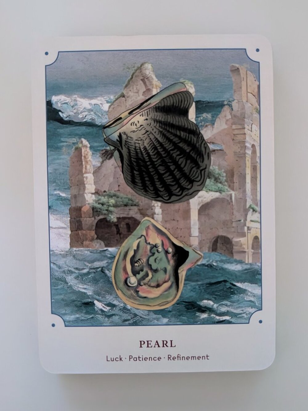 Seashell Oracle π - Picture 5 of 7
